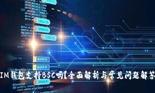 IM钱包支持BSC吗?全面解析与常见问题解答