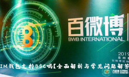 IM钱包支持BSC吗?全面解析与常见问题解答