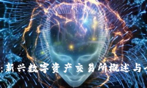 IMXApp:新兴数字资产交易所概述与全能指南