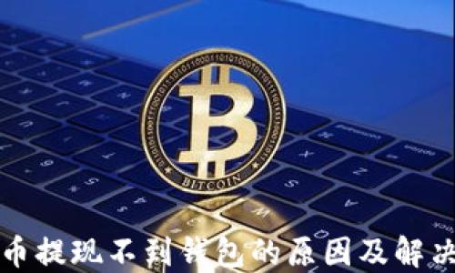 比特币提现不到钱包的原因及解决方案