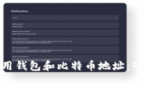 如何使用钱包和比特币地址:入门指南