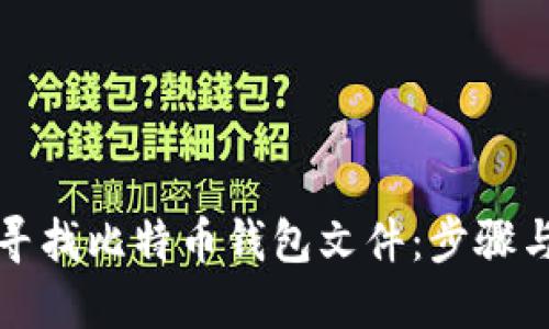 如何寻找比特币钱包文件：步骤与技巧