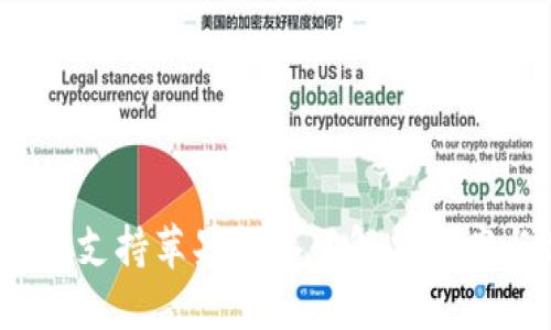 IM Token不支持苹果设备的解决方案与替代选项