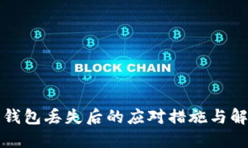 比特币钱包丢失后的应对措施与解决方案