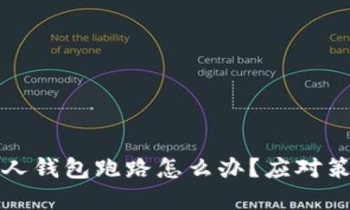 比特币私人钱包跑路怎么办?应对策略与建议