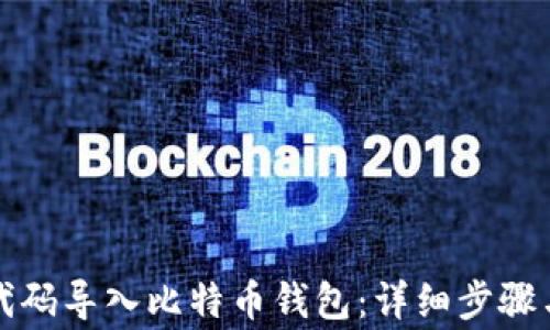 如何通过代码导入比特币钱包:详细步骤与注意事项