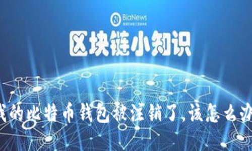 我的比特币钱包被注销了,该怎么办?