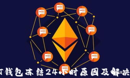 USDT钱包冻结24小时原因及解决方案