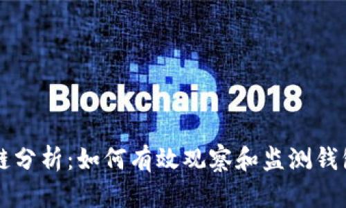区块链分析:如何有效观察和监测钱包数量