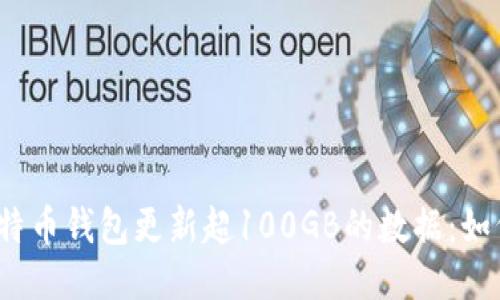 bibiao/bibiao比特币钱包更新超100GB的数据:如何应对这一挑战?