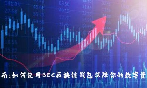 完整指南:如何使用BEC区块链钱包保障你的数字资产安全