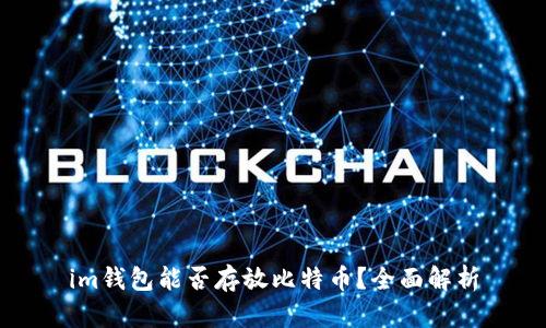 im钱包能否存放比特币?全面解析