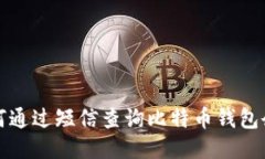 如何通过短信查询比特币