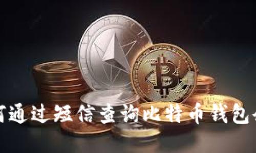 如何通过短信查询比特币钱包余额