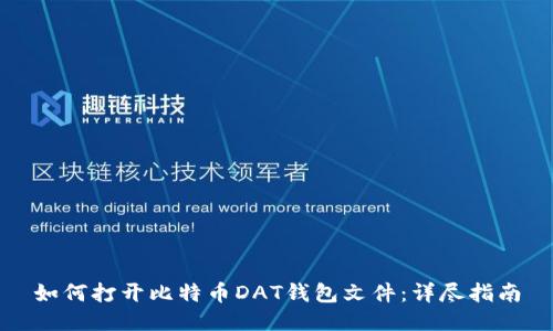 如何打开比特币DAT钱包文件:详尽指南