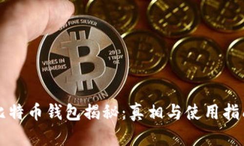 比特币钱包揭秘:真相与使用指南