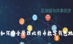 : 如何安全管理比特币数字