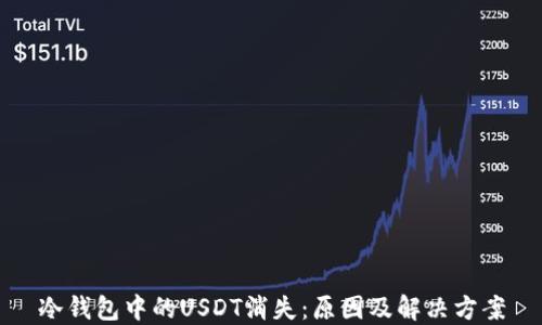 
冷钱包中的USDT消失：原因及解决方案