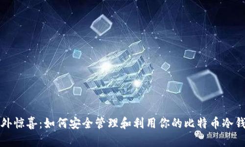 意外惊喜:如何安全管理和利用你的比特币冷钱包