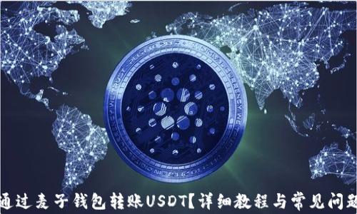如何通过麦子钱包转账USDT?详细教程与常见问题解答