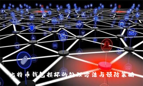比特币钱包损坏的处理方法与预防策略