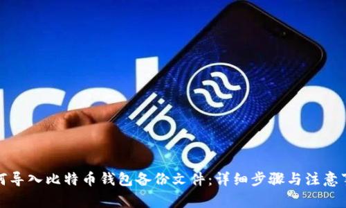 如何导入比特币钱包备份文件:详细步骤与注意事项