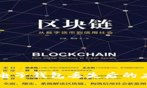 比特币电子钱包丢失后的应对指南