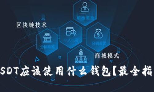 USDT应该使用什么钱包？最全指南