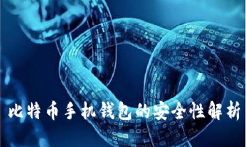 比特币手机钱包的安全性解析