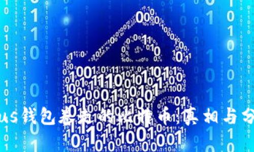 Plus钱包卷走的比特币：真相与分析