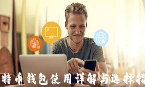 
比特币钱包使用详解与选择指南