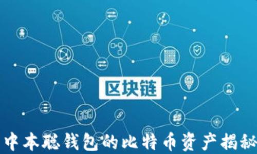 
中本聪钱包的比特币资产揭秘