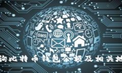 如何查询比特币钱包余额