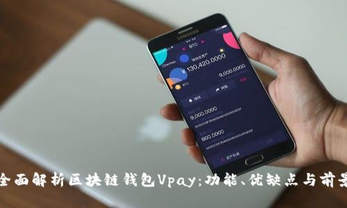 全面解析区块链钱包Vpay:功能、优缺点与前景
