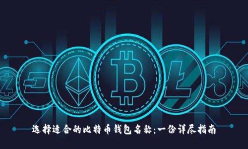 选择适合的比特币钱包名称：一份详尽指南