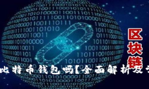 USDT能放在比特币钱包吗？全面解析及常见问题解答