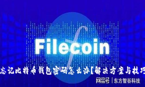 忘记比特币钱包密码怎么办？解决方案与技巧