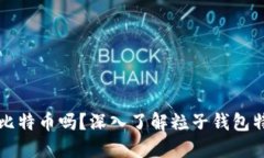 粒子钱包能挖到比特币吗