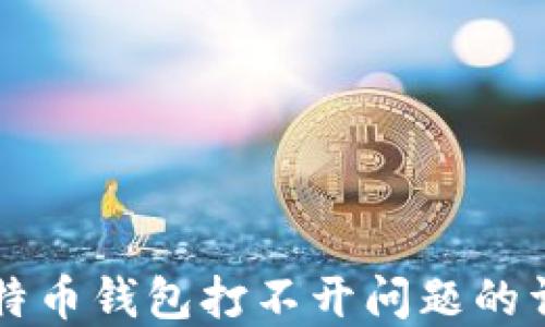 
解决比特币钱包打不开问题的详细指南