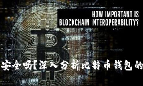 比特币钱包安全吗？深入分析比特币钱包的安全性问题