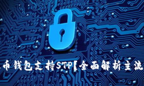 哪款虚拟币钱包支持STP？全面解析主流钱包选择