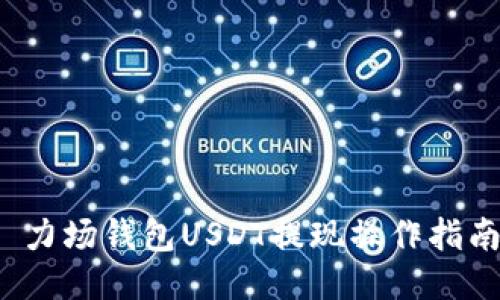  力场钱包USDT提现操作指南
