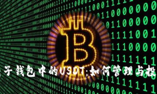 电子钱包中的USDT：如何管理与投资