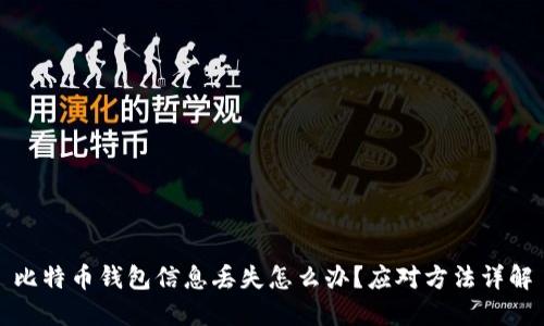 比特币钱包信息丢失怎么办？应对方法详解