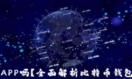 
比特币钱包是APP吗？全面解析比特币钱包的功能与类型