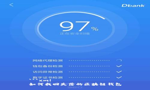 ```xml
如何找回失落的区块链钱包