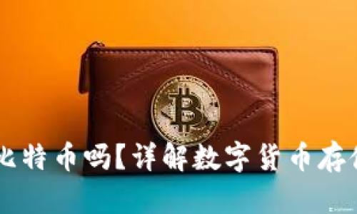 : USDT钱包可以存比特币吗？详解数字货币存储的安全性与便利性