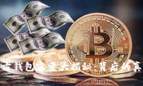 比特币官方钱包容量大揭秘：背后的真相与影响