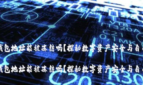 区块链钱包地址能被冻结吗？探秘数字资产安全与自由的边界

区块链钱包地址能被冻结吗？探秘数字资产安全与自由的边界