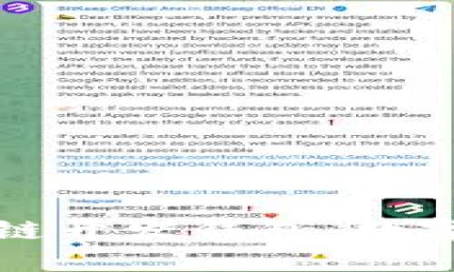 深入了解区块链开发钱包：数字资产的安全港